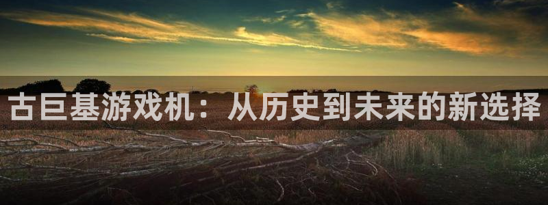 im电竞技术有限公司官网：古巨基游戏机：从历史到未来的新选择