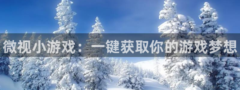 im电竞官网注册平台官网登录：微视小游戏：一键获取你的游戏梦想