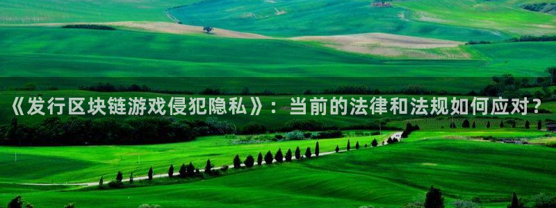 im电竞电子商务有限公司怎么样：《发行区块链游戏侵犯隐私》：当前的法律和法规如何应对？