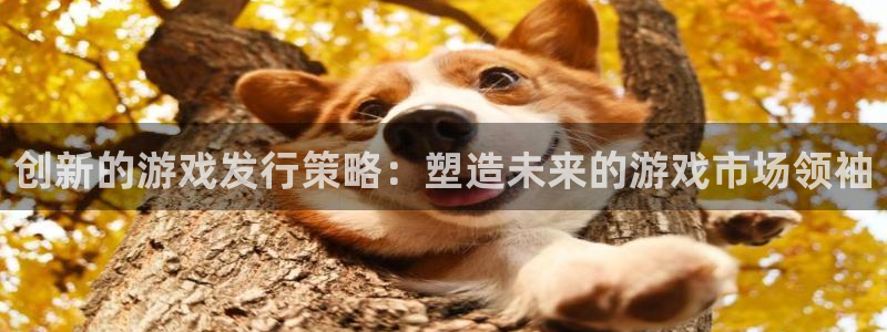 im电竞电商怎么样：创新的游戏发行策略：塑造未来的游戏市场领袖