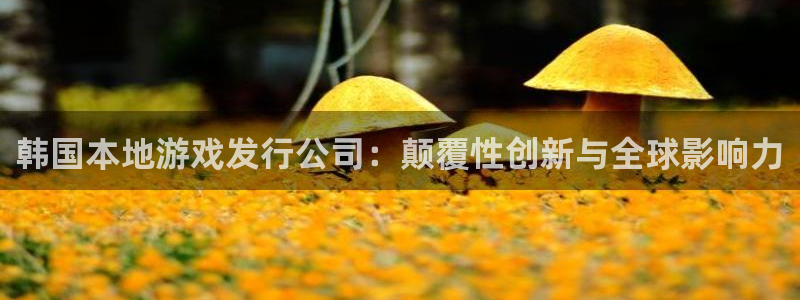 im电竞官网注册方法是什么：韩国本地游戏发行公司：颠覆性创新与全球影响力