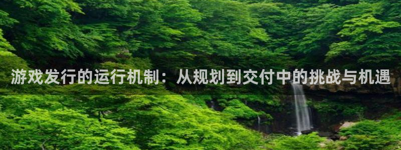 im电竞官网是赌博么：游戏发行的运行机制：从规划到交付中的挑战与机遇