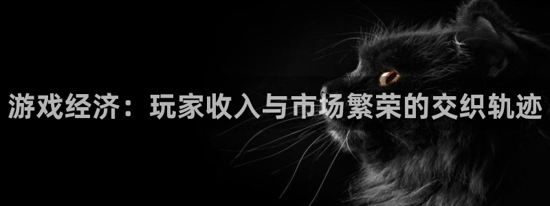 im电竞服装分店有几家
