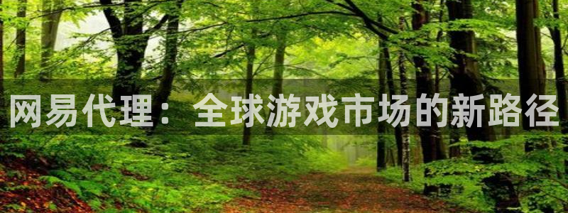 广州im电竞网络科技有限公司