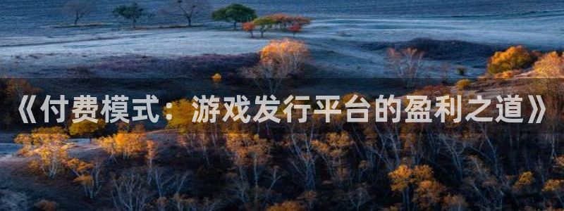 im电竞官网注册地址：《付费模式：游戏发行平台的盈利之道》