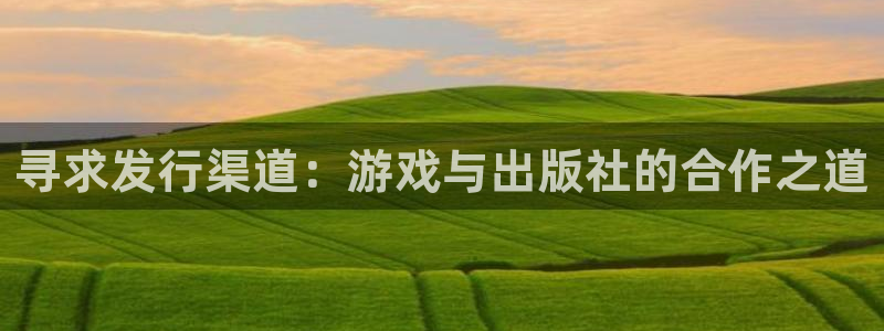 im电竞官网平台招商qq