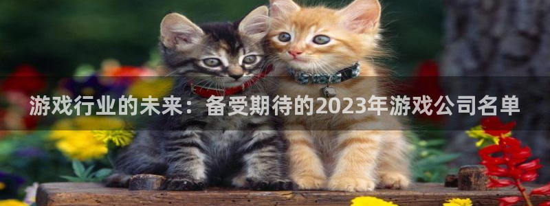 陕西im电竞子文化创意是什么