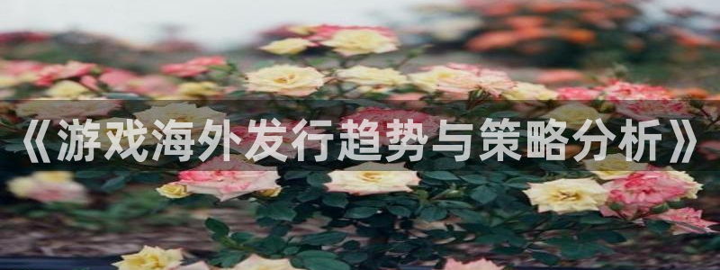 im电竞gs：《游戏海外发行趋势与策略分析》