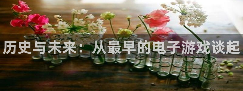 im电竞官网的钱能提出来吗：历史与未来：从最早的电子游戏谈起