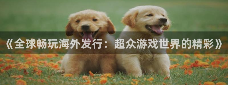 im电竞官网客服怎么样：《全球畅玩海外发行：超众游戏世界的精彩》