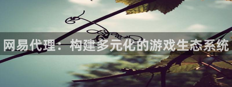 im电竞子财经出版中心：网易代理：构建多元化的游戏生态系统