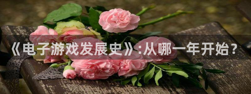 im电竞电子商务有限公司怎么样