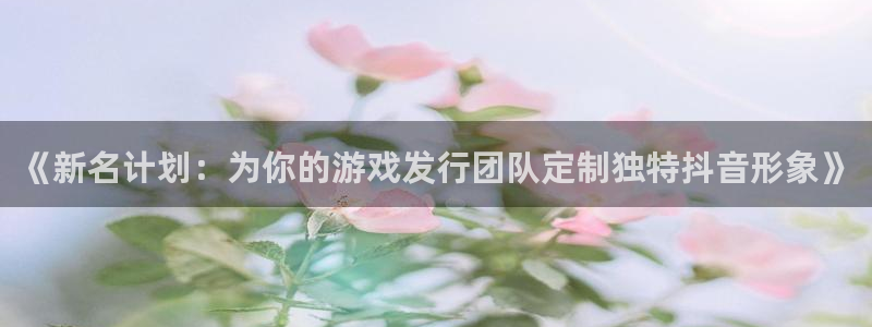 im电竞超纯啤酒怎么样：《新名计划：为你的游戏发行团队定制独特抖音形象》