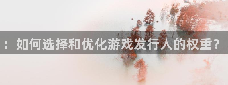 im电竞智得官网：：如何选择和优化游戏发行人的权重？
