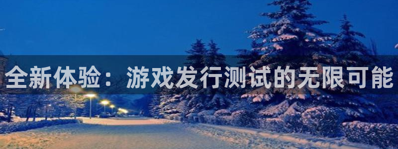 im电竞官网登录注册不了：全新体验：游戏发行测试的无限可能