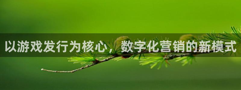 四川im电竞科技有限公司