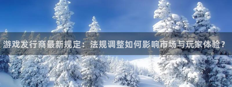 四川im电竞科技有限公司招聘