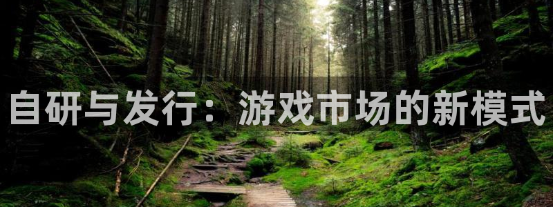 im电竞子签约作家